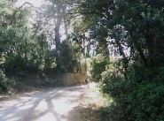 Immobilie Trebes