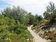 Kauf verkauf dorfhäuser / stadthäuser Torreilles